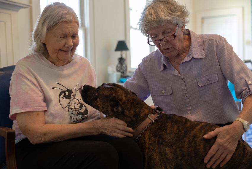 Linda Coffee argued Roe v. Wade. Now, she’s watching it unravel. The